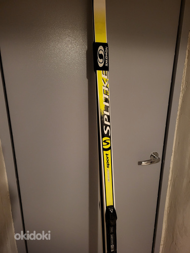 Suusad Splitken - Fischer 182cm