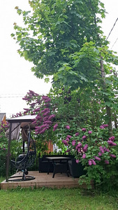 Purje tn 16, Vana-Pärnu, Pärnu, Pärnumaa (1 фото из 12)