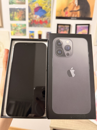 iPhone 13 pro