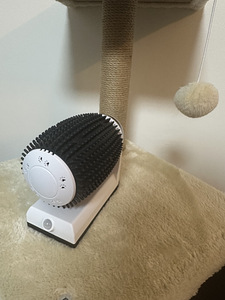 Kraapimispost + kingitus automaatne kassi kamm-masseerija (5 foto / 7)