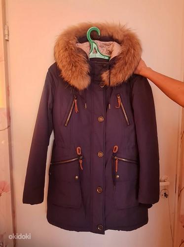 Зимняя куртка и пальто (фото #2)