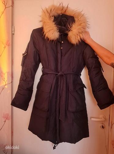 Зимняя куртка и пальто (фото #4)