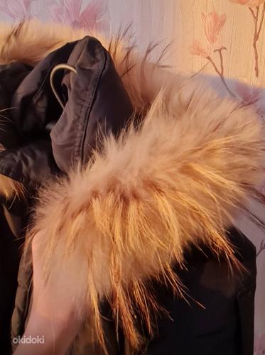 Зимняя куртка и пальто (фото #6)