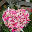 Lilledest süda kinkekarbis - imeilus kingitus! (foto #4)