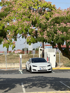 Auto rent koos juhiga (7 foto / 10)