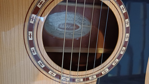 Kitarr, elektroakustiline Washburn (10 foto / 10)