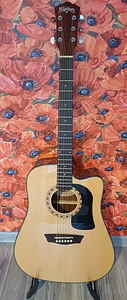 Электроакустическая гитара Washburn (2 фото из 10)