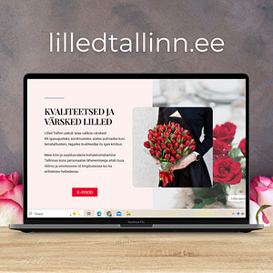 Kaasaegsed veebilahendused (veebileht, AI-chatbot, SEO) (5 foto / 10)