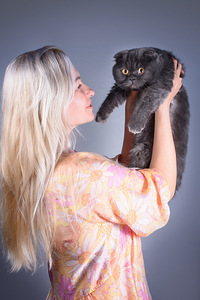 Scottish Fold Bonia (3 foto / 4)
