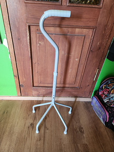 Kepp kõndimiseks nelja toega (2 foto / 3)