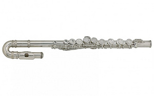 Флейта Roy Benson FL-102 (2 фото из 2)