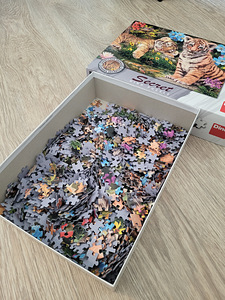 Puzzles (4 foto / 4)