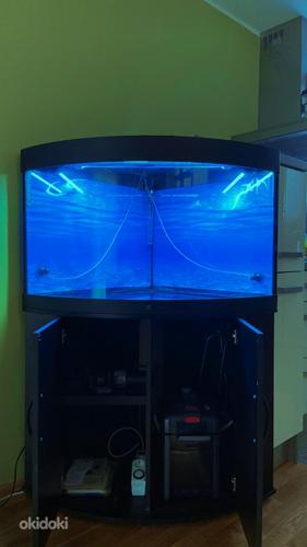 JUWEL 190л угловой аквариум с тумбой (фото #2)