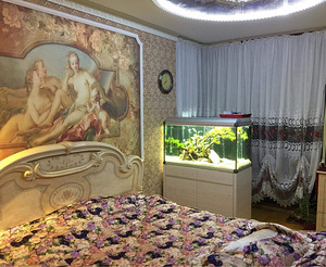Аквариум (4 фото из 6)