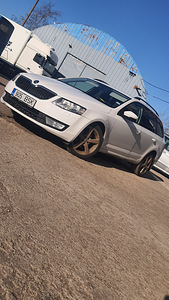 Skoda octavia 2016 (1 foto / 15)