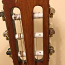 Гитара ESC-105 + чехол (фото #2)