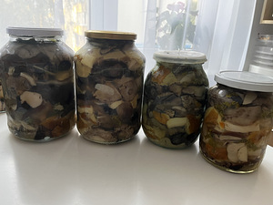 Marineeritud, soolatud, kuivatatud seened (2 foto / 9)