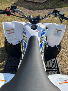 Laste ATV Pentora 110 (3 foto / 9)