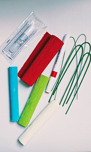 Krepp-paberist lillede DIY komplekt Creativ Company Tee ise! (2 foto / 5)
