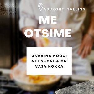 Restoranis vajalik kokk (3 foto / 3)