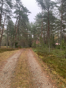 Metsa tn 2, Vasalemma, Lääne-Harju vald, Harjumaa (7 foto / 11)