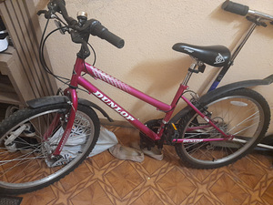Laste roosa ratas (1 foto / 1)